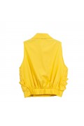 ERLI       120S4D9 TOP e BODY GIALLO