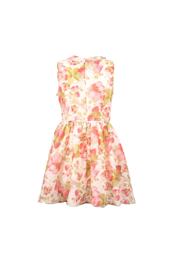 NOVELLARA ABITO ROSA